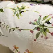 ななの画像