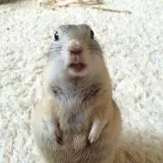 ゆーき