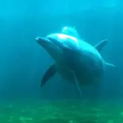 ナNa 【値下げメ・プロフご確認下さい】の画像