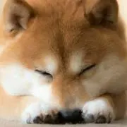 ☆mama☆の画像