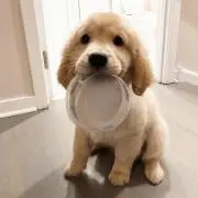かんた