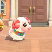 ここみの画像