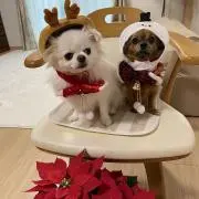 めいぽち