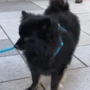 ぐみ※断捨離中の画像
