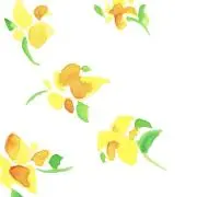 hana's ROOM(プロフ必読)の画像