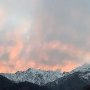パサの画像