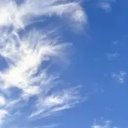 ゆう