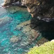 manaの画像