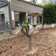 にいぱんの画像