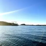 けろの画像