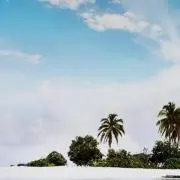 T-7