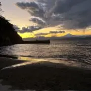 セメント
