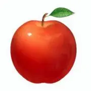 トムトム♪の画像