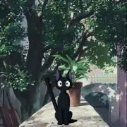 rimmyの画像