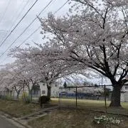 まるの画像