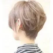 ひまわり