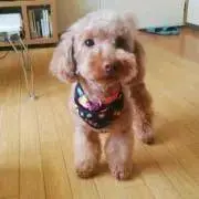 もんちゃん★
