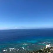 ティーの画像