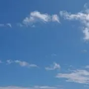 mameの画像