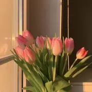 ‪‪❤︎‬の画像