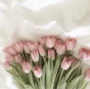 ちやの画像