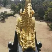 ねお☆