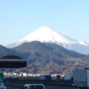 まっすの画像