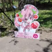 ろーの画像