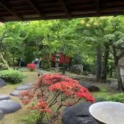 BBYの画像