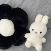 ふぅ 。の画像