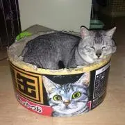 れん