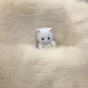 cocoの画像