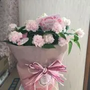 gomaの画像