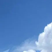うでまるの画像