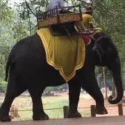 ちぃの画像
