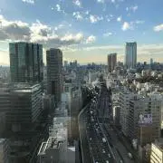 Yの画像