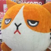 maaa♡の画像