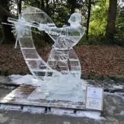 タツノコの画像