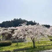 ペネロペの画像