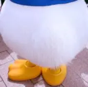 Shinoの画像