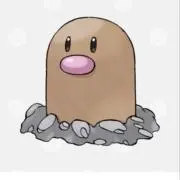 あいの画像