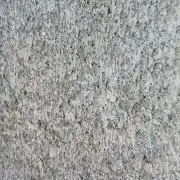 ぐらの画像