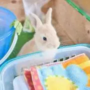 PoWht♡:*100%正規品のみの画像