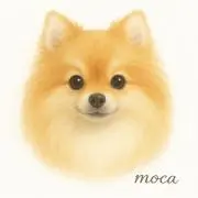 fleur☆の画像
