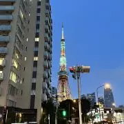 raptorの画像