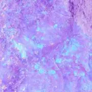 みーの画像