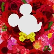 杏子 プロフ必読！の画像