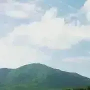風のふうの画像