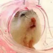 ゆめ＊まとめ割◎の画像