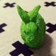 きのこのこ。の画像